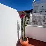 Casa Tropical - Maison Typique Dans Le Centre Historique D'olhao Feriehus *