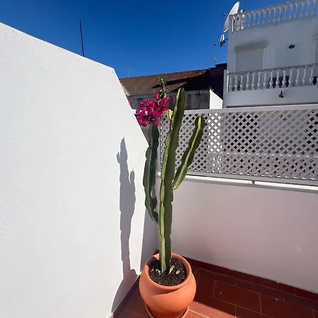 Casa Tropical - Maison Typique Dans Le Centre Historique D'olhao Tatil Evi *