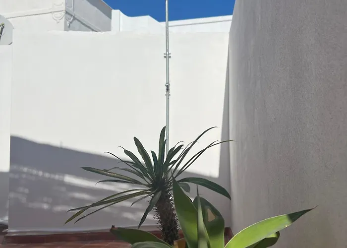 펜션 Casa Tropical - Maison Typique Dans Le Centre Historique D'olhao 오양