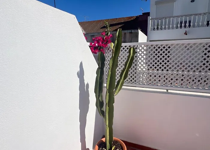 Casa Tropical - Maison Typique Dans Le Centre Historique D'olhao 펜션 *