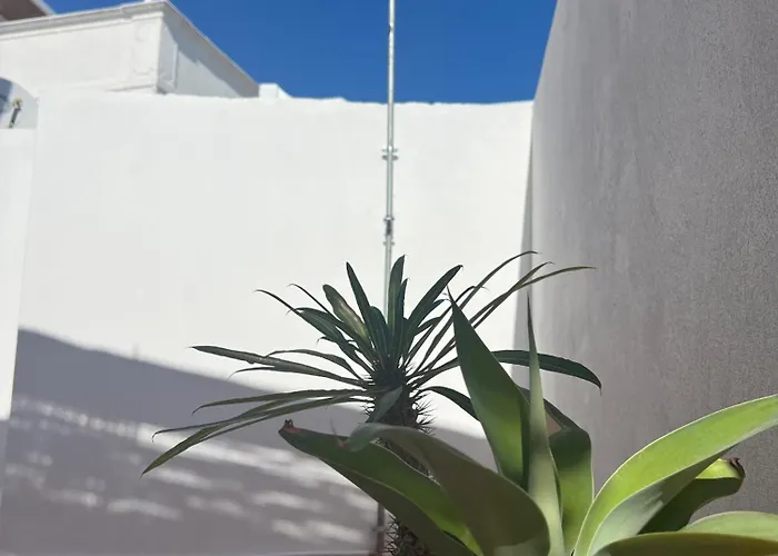 Casa Tropical - Maison Typique Dans Le Centre Historique D'olhao 펜션 오양