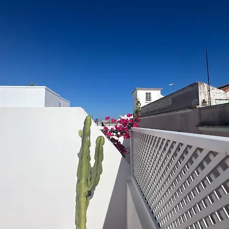 Casa Tropical - Maison Typique Dans Le Centre Historique D'olhao 別荘