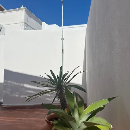 別荘 Casa Tropical - Maison Typique Dans Le Centre Historique D'olhao オリョン