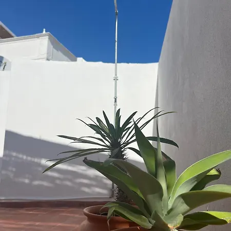 Casa Tropical - Maison Typique Dans Le Centre Historique D'olhao 別荘 オリョン